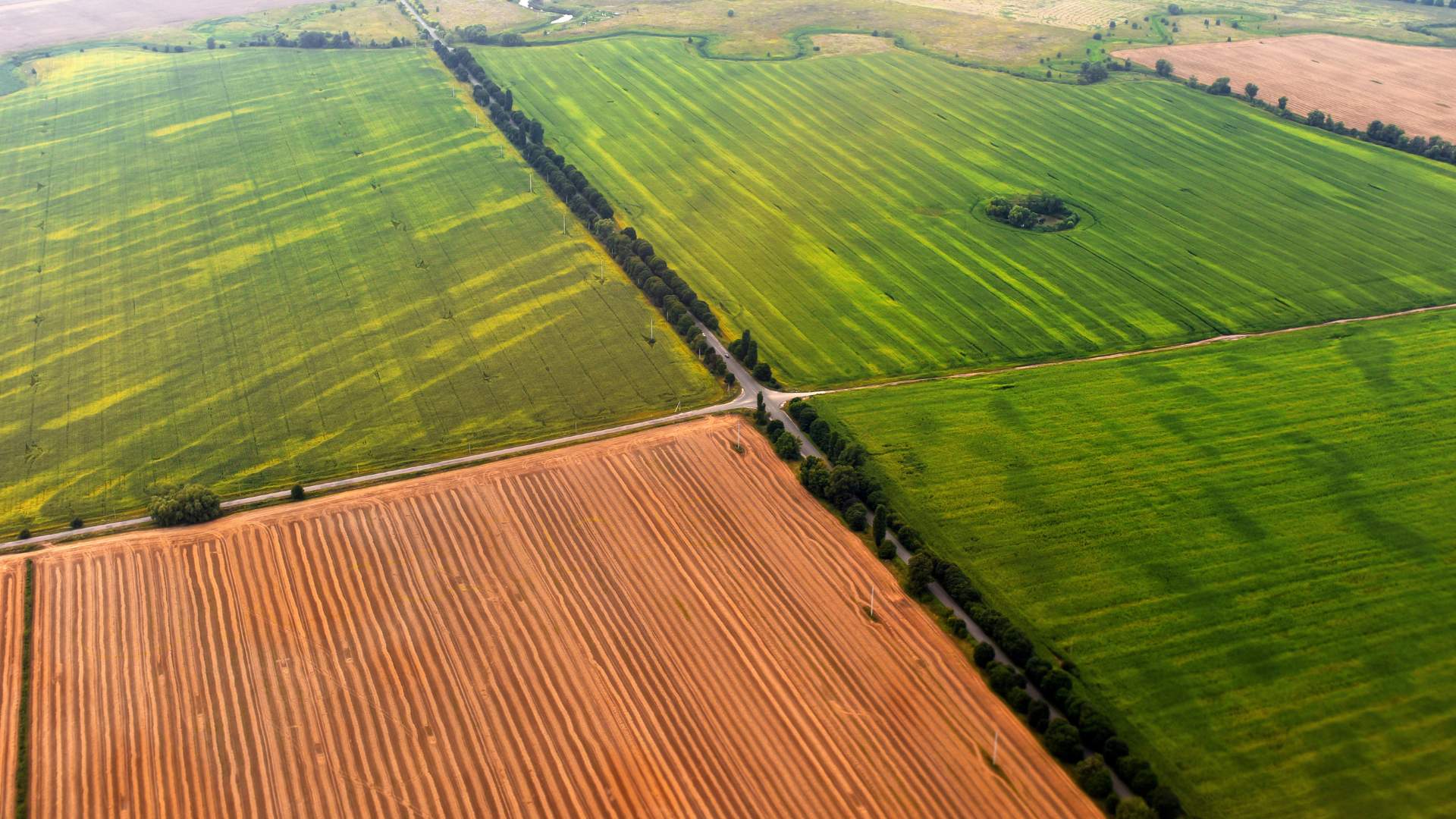 Buying Land: What You Need to Know