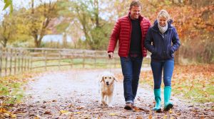 Exploring your neighborhood in the fall