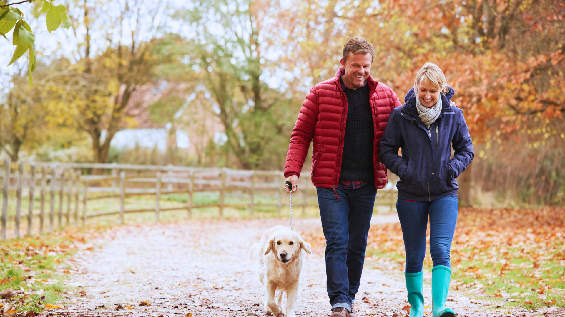 Exploring Your New Neighborhood with Man’s Best Friend