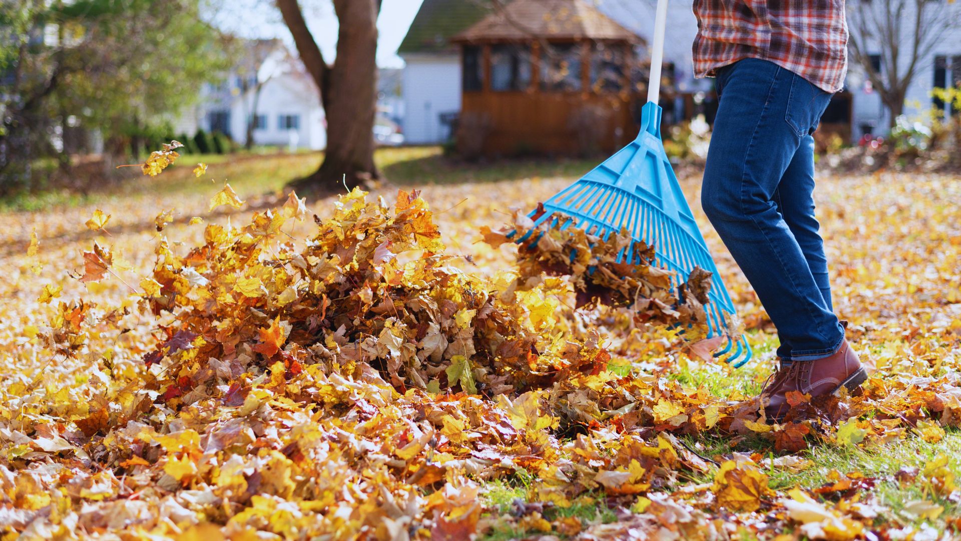 Essential Fall Home Maintenance Tips